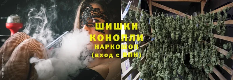 Бошки Шишки SATIVA & INDICA  цена наркотик  Красноперекопск 